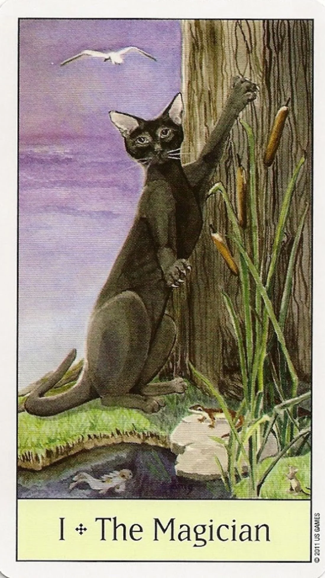 The Magician card from the Cats Eye Tarot deck