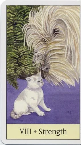 Strength card from the Cats Eye Tarot deck