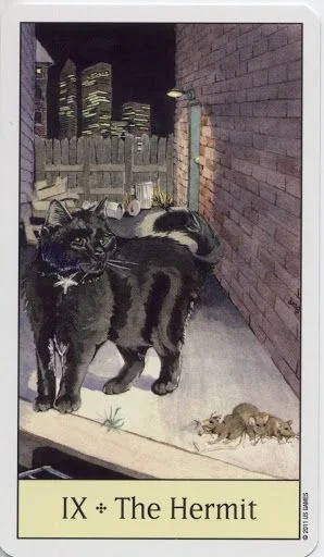 The Hermit card from the Cats Eye Tarot deck
