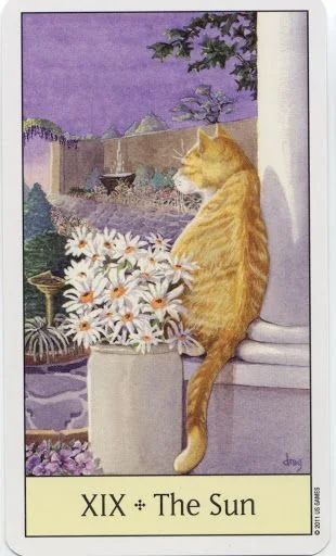The Sun card from the Cats Eye Tarot deck