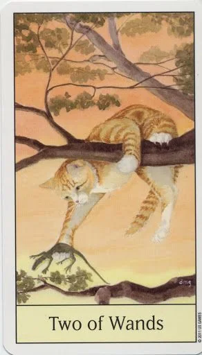Two of Wands card from the Cats Eye Tarot deck