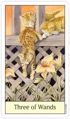 Three of Wands card from the Cats Eye Tarot deck