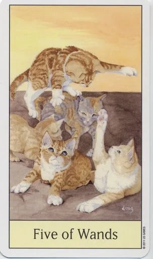 Five of Wands card from the Cats Eye Tarot deck