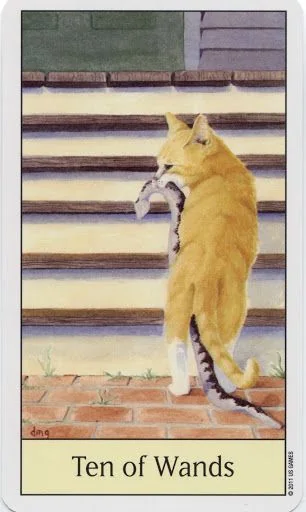 Ten of Wands card from the Cats Eye Tarot deck
