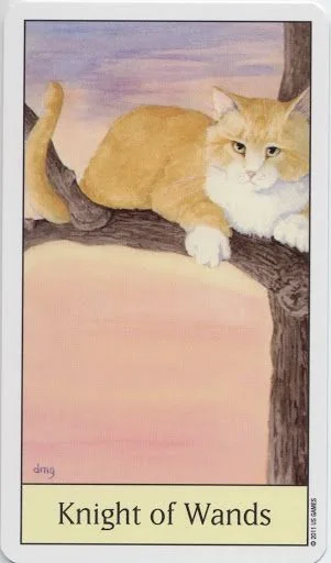 Knight of Wands card from the Cats Eye Tarot deck