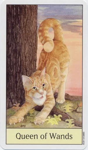 Queen of Wands card from the Cats Eye Tarot deck