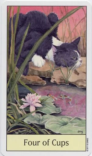 Four of Cups card from the Cats Eye Tarot deck
