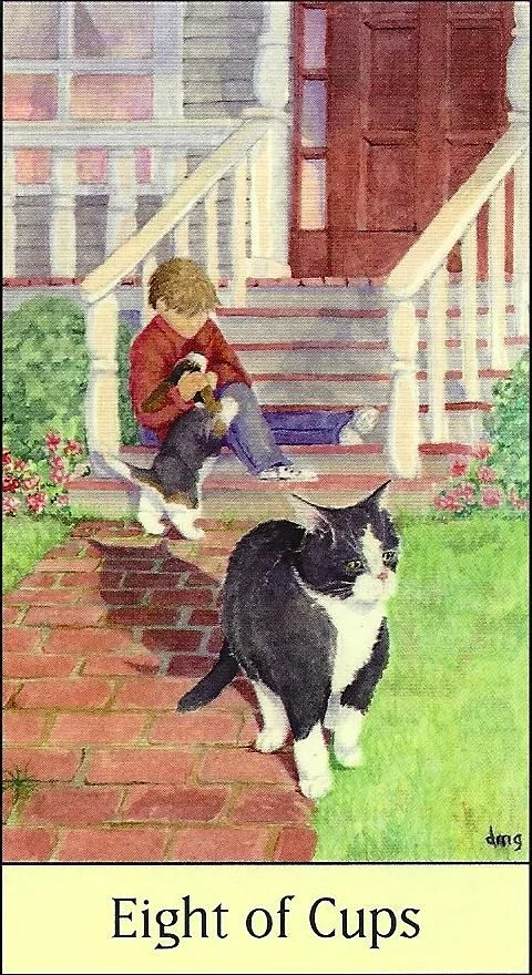 Eight of Cups card from the Cats Eye Tarot deck