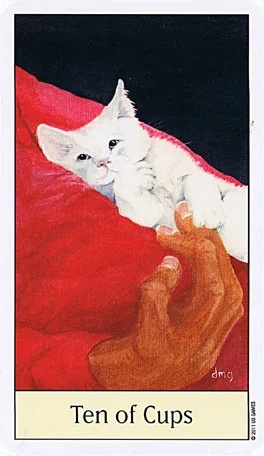 Ten of Cups card from the Cats Eye Tarot deck