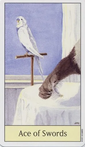 Ace of Swords card from the Cats Eye Tarot deck