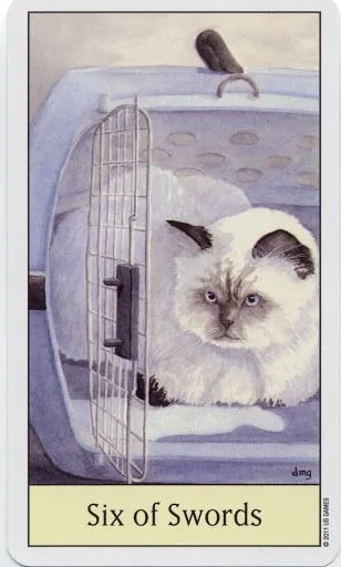 Six of Swords card from the Cats Eye Tarot deck