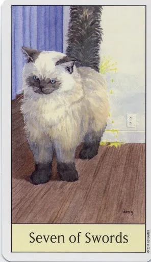 Seven of Swords card from the Cats Eye Tarot deck