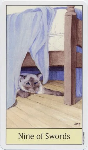 Nine of Swords card from the Cats Eye Tarot deck