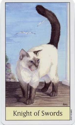 Knight of Swords card from the Cats Eye Tarot deck