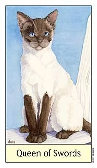 Queen of Swords card from the Cats Eye Tarot deck
