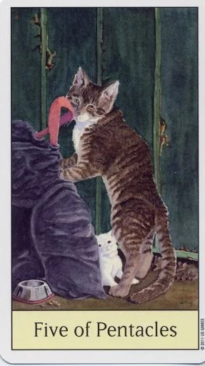 Five of Pentacles card from the Cats Eye Tarot deck