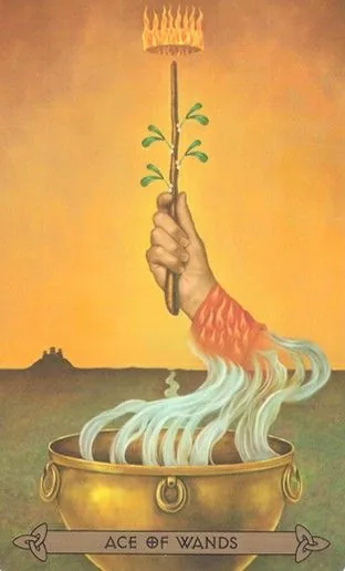 Celtic Tarot Kristoffer Hughes Review 8 Ace of Wands card from the Celtic Tarot deck