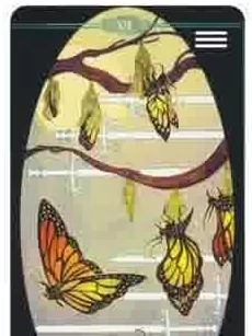 Children of Litha Tarot source-order card 59 card from the Children of Litha Tarot deck
