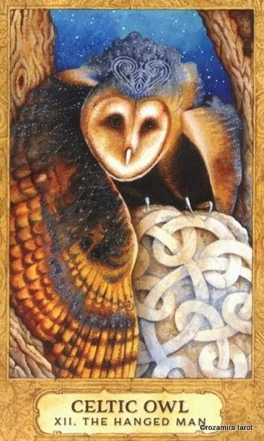 Celtic Owl — XII The Hanged Man card from the Chrysalis Tarot deck