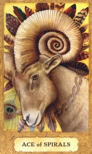 Ace of Spirals card from the Chrysalis Tarot deck