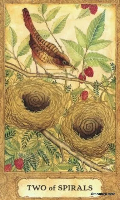 Two of Spirals card from the Chrysalis Tarot deck