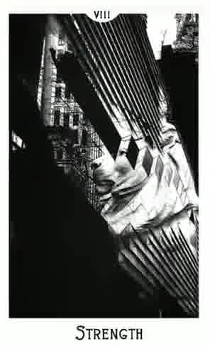 Strength from the City Mystic New York Tarot deck