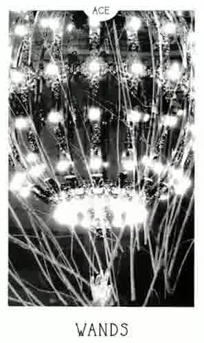 Ace of Wands from the City Mystic New York Tarot deck