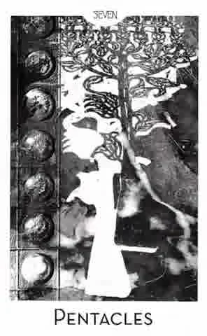 Seven of Pentacles from the City Mystic New York Tarot deck
