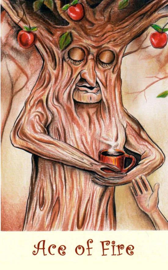 Coffee Tarot source-order card 52 card from the Coffee Tarot deck