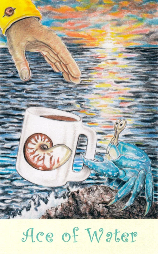 Ace of Water card from the Coffee Tarot deck