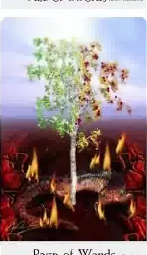 Page of Wands card from the Comparative Tarot deck