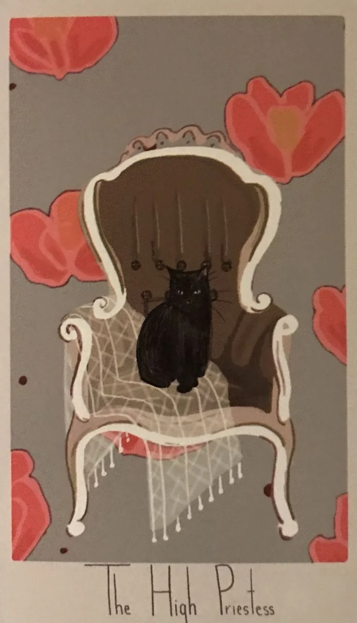 The High Priestess card from the Considerate Cat Tarot deck