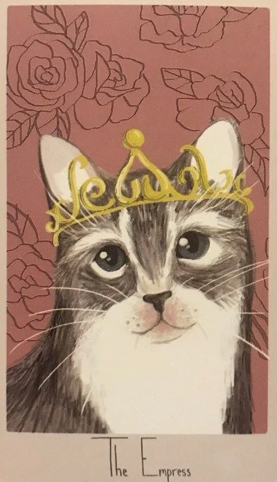 The Empress card from the Considerate Cat Tarot deck