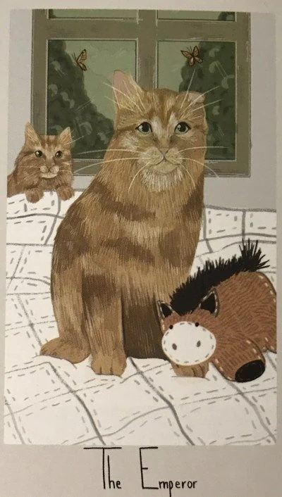 The Emperor card from the Considerate Cat Tarot deck
