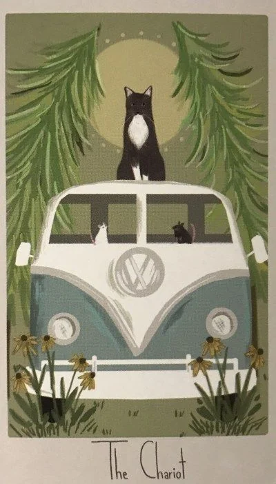 The Chariot card from the Considerate Cat Tarot deck
