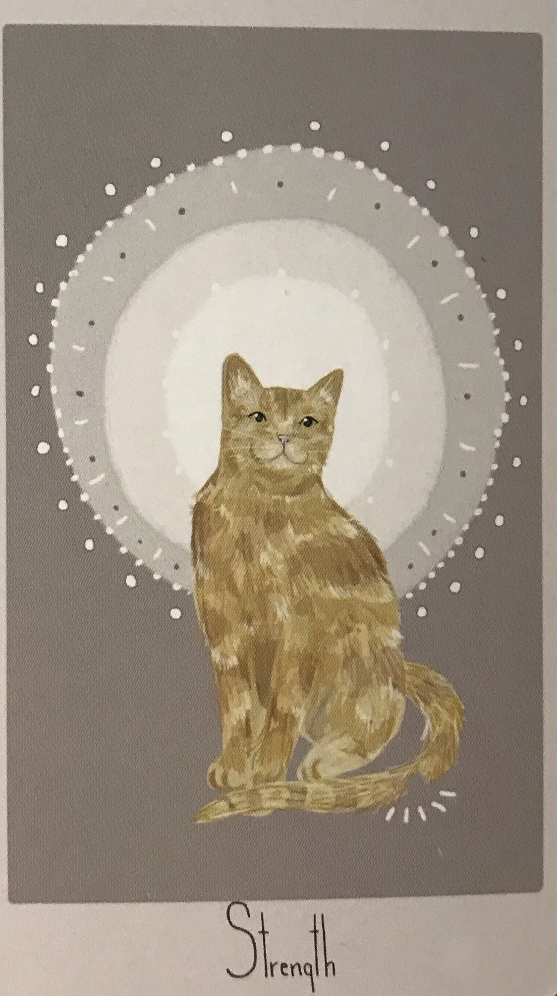 Strength card from the Considerate Cat Tarot deck