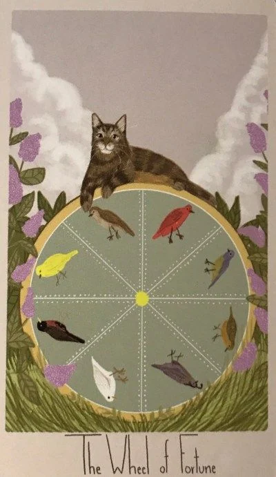 Wheel of Fortune card from the Considerate Cat Tarot deck