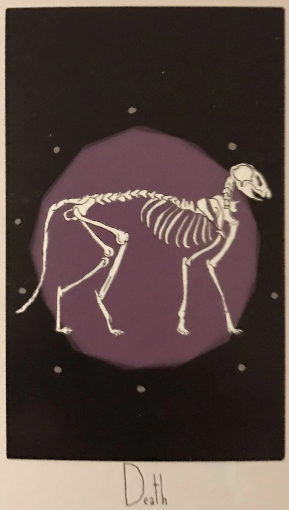 Death card from the Considerate Cat Tarot deck