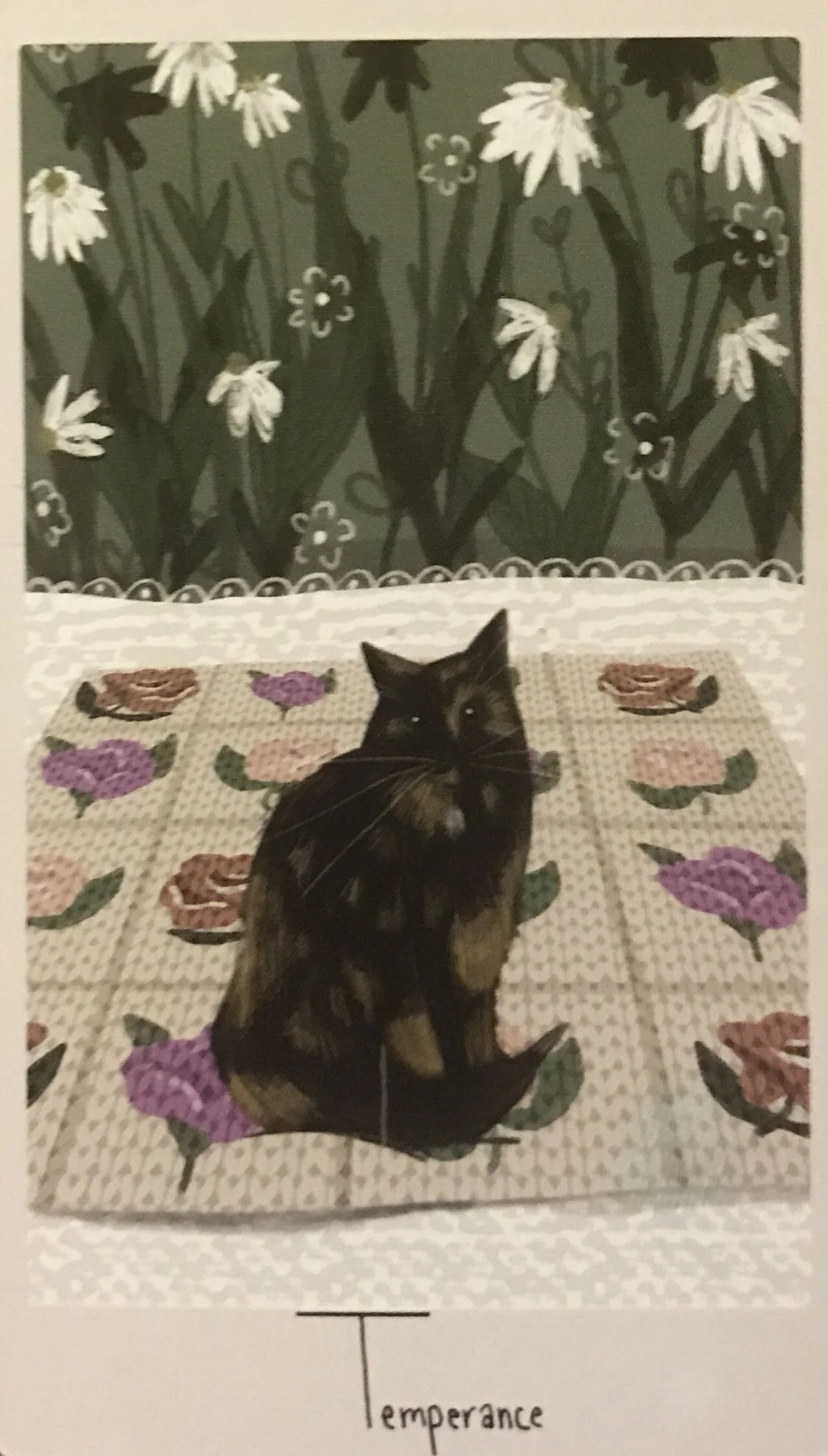 Temperance card from the Considerate Cat Tarot deck