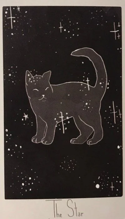 The Star card from the Considerate Cat Tarot deck