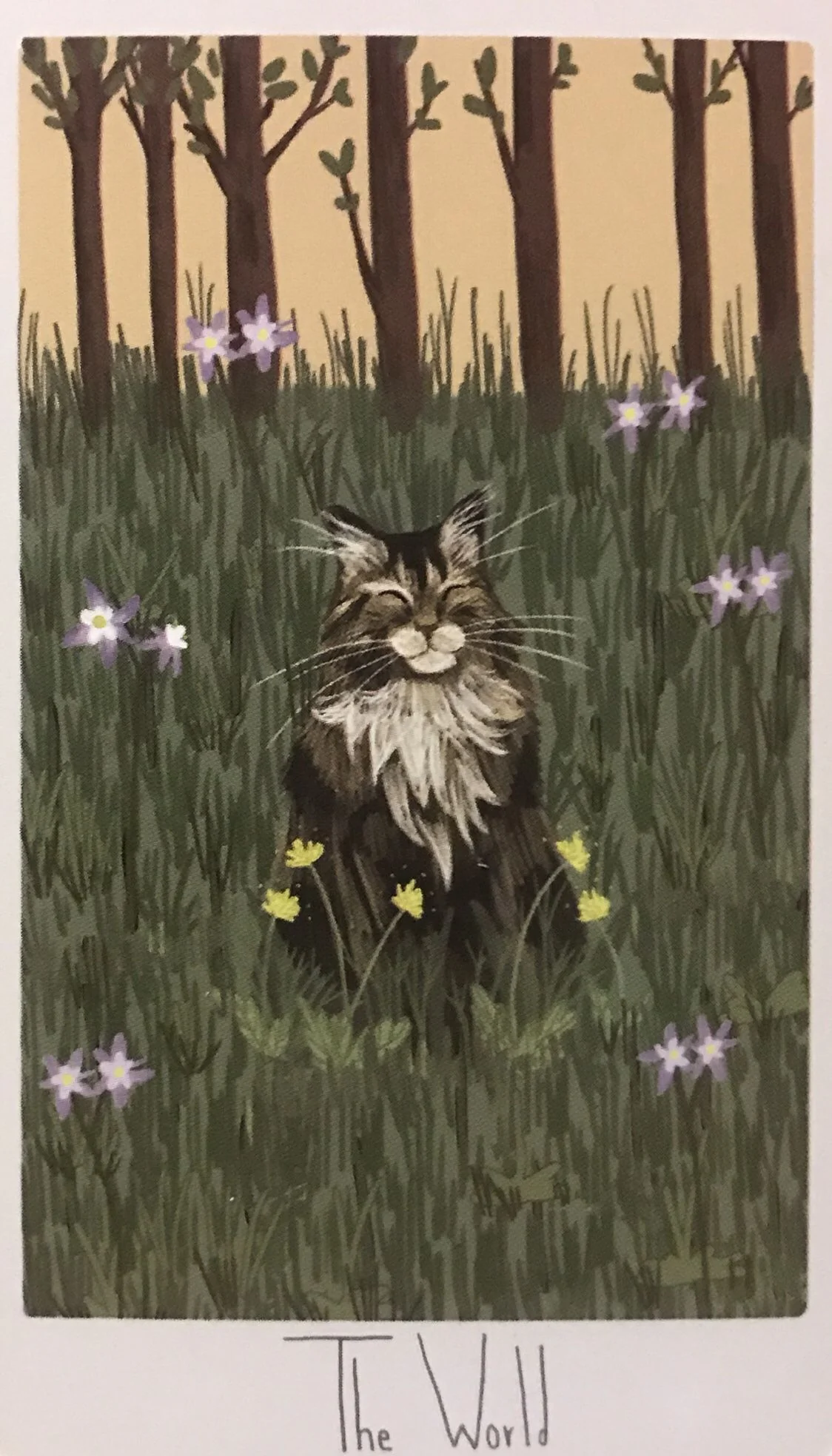 The World card from the Considerate Cat Tarot deck