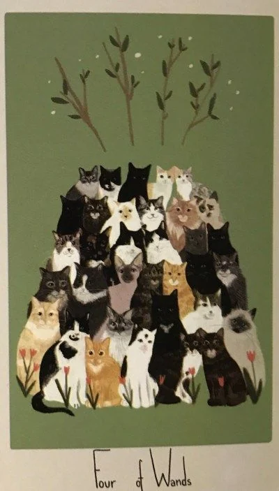 4 of Wands card from the Considerate Cat Tarot deck
