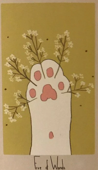 5 of Wands card from the Considerate Cat Tarot deck