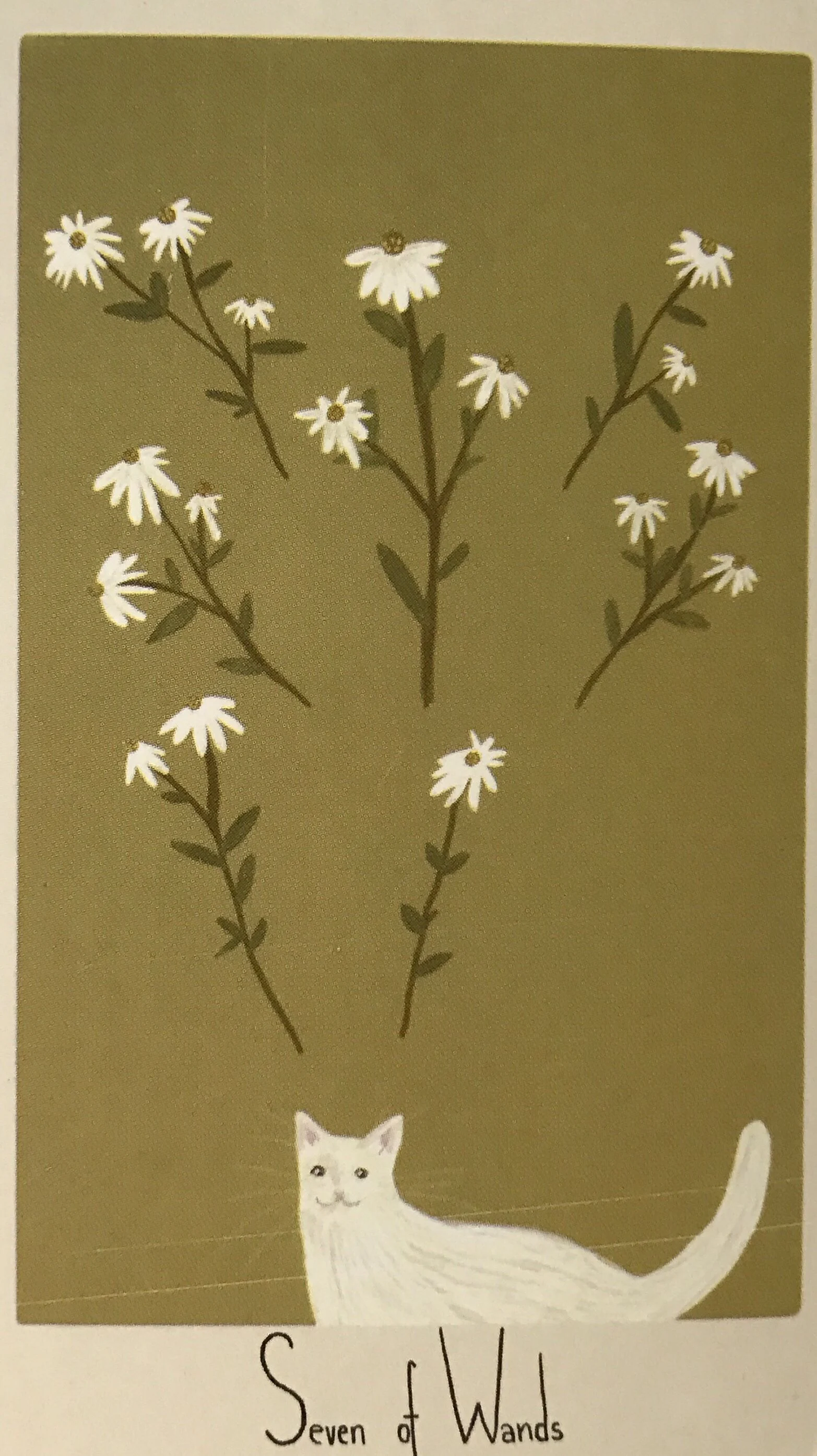 7 of Wands card from the Considerate Cat Tarot deck