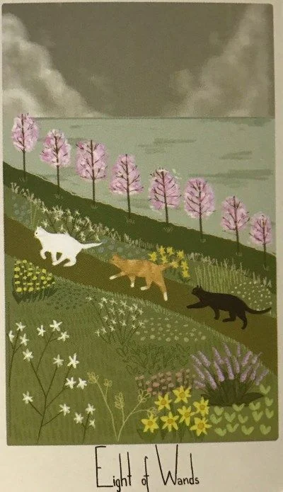 8 of Wands card from the Considerate Cat Tarot deck