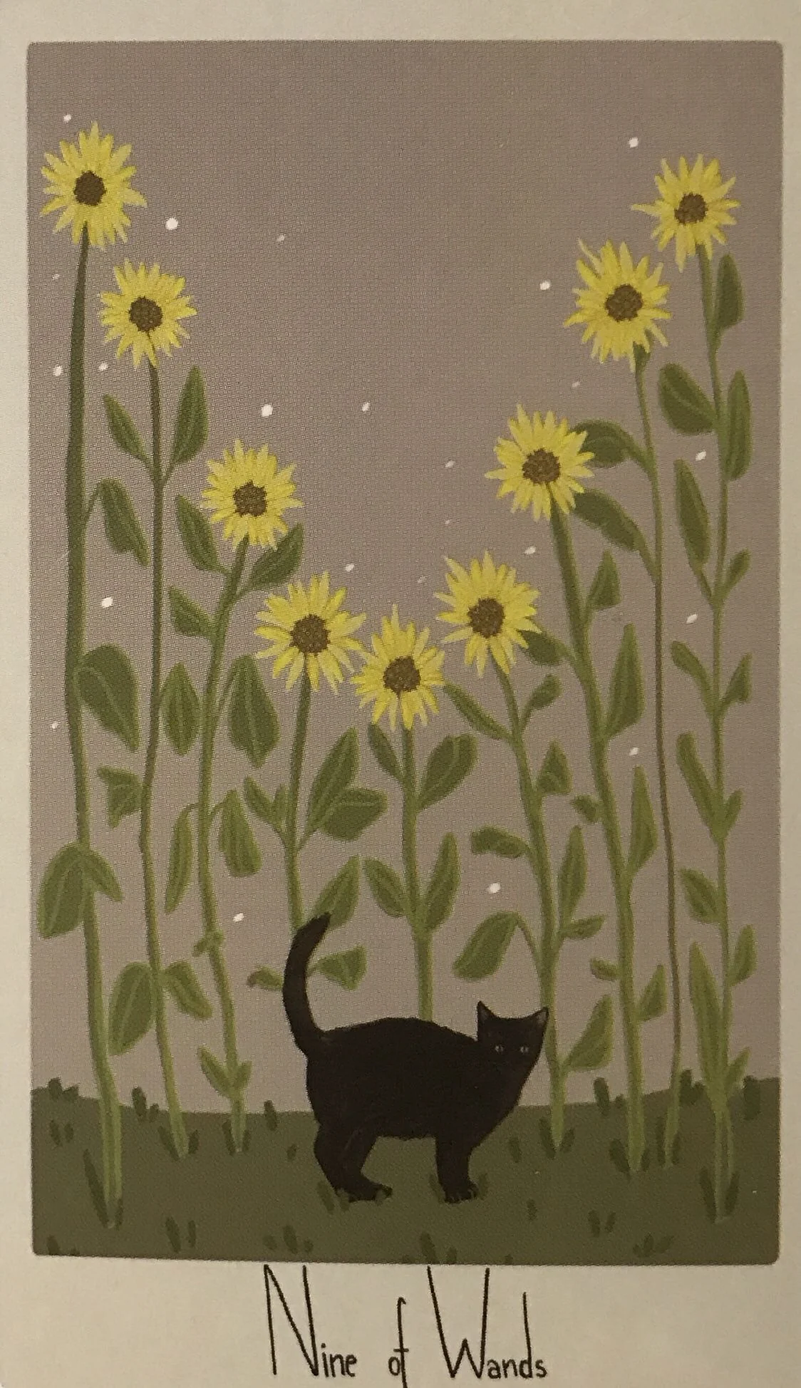 9 of Wands card from the Considerate Cat Tarot deck