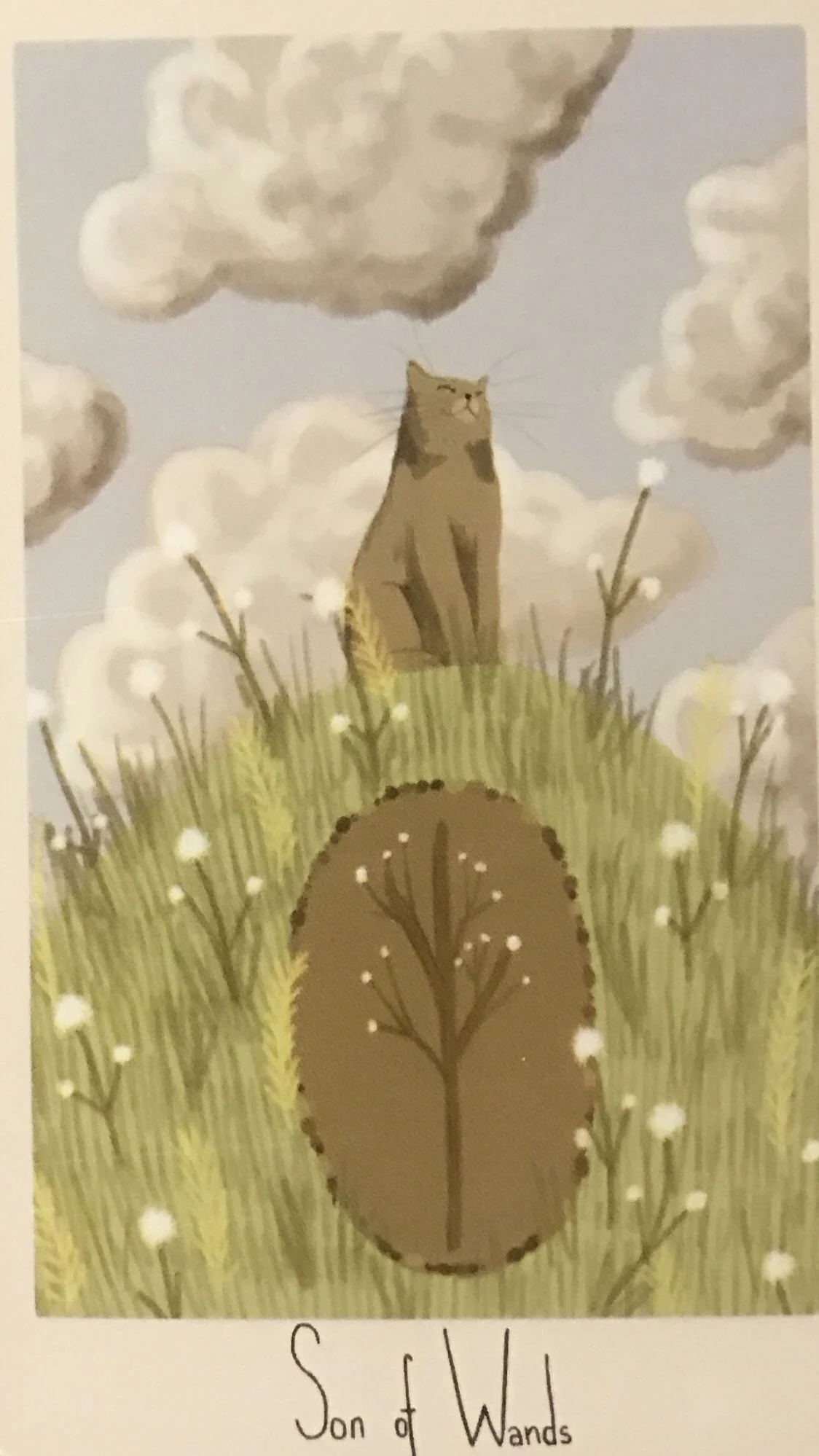 Son of Wands card from the Considerate Cat Tarot deck
