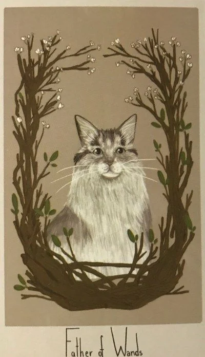 Father of Wands card from the Considerate Cat Tarot deck