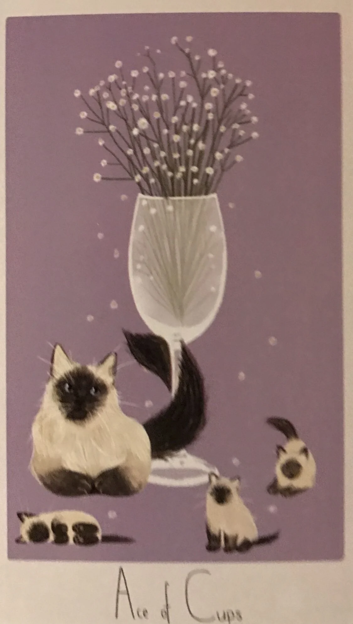 Ace of Cups card from the Considerate Cat Tarot deck