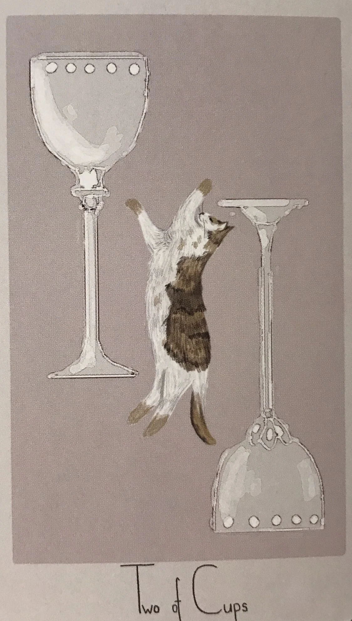 2 of Cups card from the Considerate Cat Tarot deck